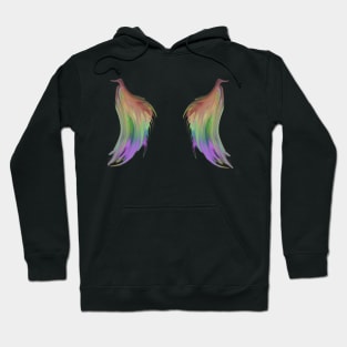 Rainbow Wings Hoodie